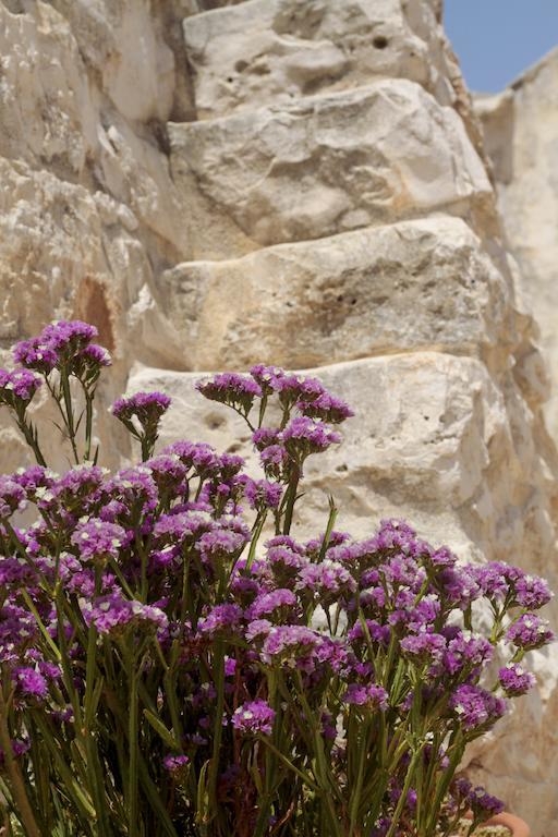 Masseria Madonna Dell'Arco Agriturismo มาร์ตินาฟรังกา ภายนอก รูปภาพ